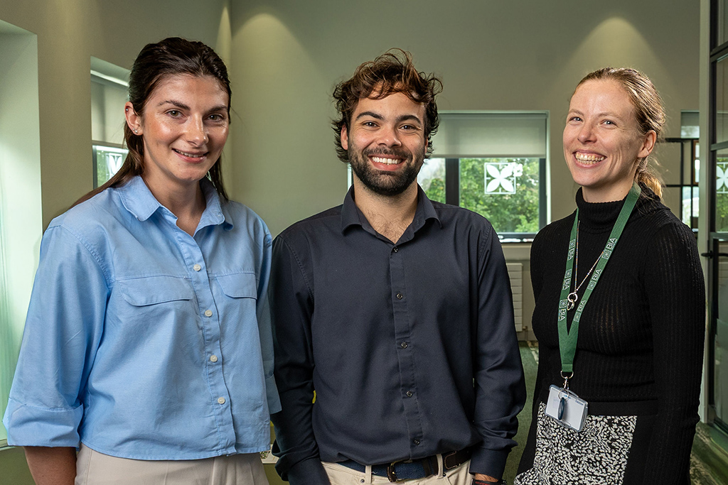 eu projects team
