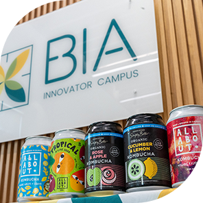 kombucha canned drinks